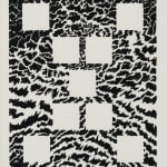 Black and white drawing with nine blank squares creating an X across the page. Black squiggles resemble fur like patterns around the cubes.