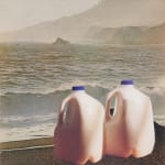 Two gallon milk jugs on foggy beach.