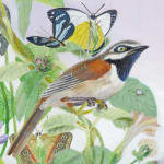 Detail of Bird and butterflies nestled in leaves with flowers.