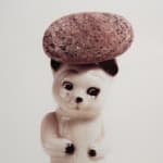 Detail of cat with pebble on head.