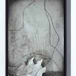 Emil Lukas, lost photograph #80 circa 1860 #1980, 2020