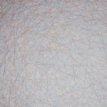 Emil Lukas, lost photograph #80 circa 1860 #1980, 2020