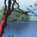 Multiple silkscreen layers of black blue green and red paint form a constructed landscape of a burry riverbank with a red and black silhouette of a tree towards the left of the piece