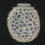 Isabella Kirkland, Back, from Taxa portfolio, 2006