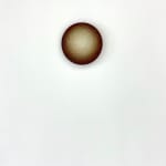 Emil Lukas, lost photograph #80 circa 1860 #1980, 2020