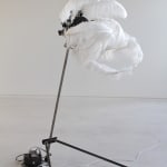 Still image of a moving mechanical sculpture made out of a long black tripod, white ostrich feathers, and custom electronics. The feathers are slightly tilted upwards to the right and obscure the machine center of the sculpture