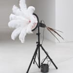 Still image of a moving mechanical sculpture made out of a long black tripod, white ostrich feathers, and custom electronics. The head of the sculpture is slightly tilted upwards and to the left. The white feathers of the machine obscure its center