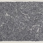 Bruce Conner, WART FEBRUARY 16, 1987, 1987