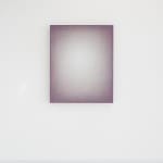 Emil Lukas, lost photograph #80 circa 1860 #1980, 2020