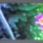 Jim Campbell, Motion Color Study #4, 2024