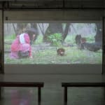 Still from video playing in gallery; a girl kneels in the grass and coaxes a small animal towards a fallen log.
