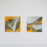 Judith Belzer, Radiating Limbs #3, 2005