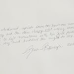 Rina Banerjee, Runaway in rope, liberty protested mirrored in records of menials, natives, and female messages. Massages to the law...