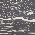 Bruce Conner, WART FEBRUARY 16, 1987, 1987