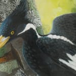 Isabella Kirkland, Ivory Billed Woodpeckers, 2005