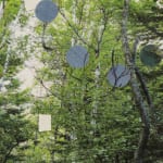 Detail of floating shapes in forest.