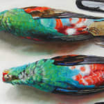 Detail of bird body with green, blue, red, and some white feathers.