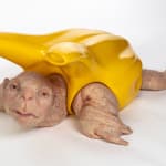 Sculpture of turtle with human-like scaly skin. Turtle’s shell is an artificial yellow plastic attachment that alludes to a vacuum contraption.