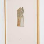 Jose Antonio Suarez Londono, #13, 2002