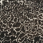 Bruce Conner, WART FEBRUARY 16, 1987, 1987