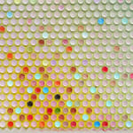 Emil Lukas, lost photograph #80 circa 1860 #1980, 2020