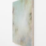 Emil Lukas, lost photograph #80 circa 1860 #1980, 2020