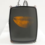 Alan Rath, Microwave, 1989