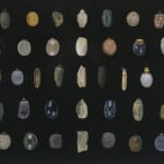 Isabella Kirkland, Back, from Taxa portfolio, 2006