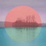 Multiple silkscreen layers of gray blue green and pink paint form a constructed landscape of a blurred and heavily pixelated river bank with two ducks in the water. In the midground and at the center of the piece a large pink and green circle covers and brings attention to several trees and the two ducks in the water