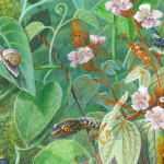 Detail of insects nestled in leaves with flowers.