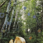 Forest with white birch trees with large egg shell in foreground. Various shapes floating over the scene.