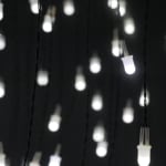 A detailed shot of light bulbs.