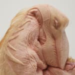 Patricia Piccinini, Safely Together, 2022