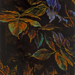 Aged leaves in shades of green, orange and purple contrast with dark background.