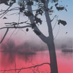 Multiple silkscreen layers of black blue and hot pink form a constructed landscape of a blurred and heavily pixelated river bank In the foreground stretches a silhouette of the top of a thin tree with several black leave-like blotches