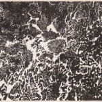Abstract black and white drawing, suggesting fibrous network