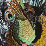 Close up of the combined head of the birds in FEATHERS