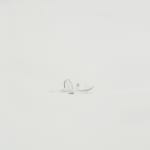 Crystal Liu, give us our dream: part one, 'narcissus', 2009