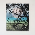 Birgit Jensen, HAFU II, 2019