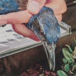 Detail of the blue bird's head.