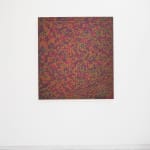 Anoka Faruqee, 2012P-14, 2012