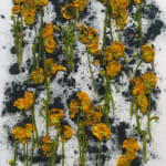 Arrangement of crushed yellow ranunculus on crushed charcoal in abstract arrangement by Adam Fuss from Theia series