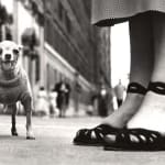 Elliott Erwitt, Finland, 2001