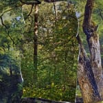 Abelardo Morell Picturing the South Cutout in Print with Trees Behind showing green forest