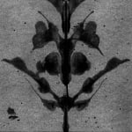 Abelardo Morell Flowers for Lisa #60 Rorschach image of symmetrical blots in shape of a flower black and white