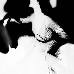 Zana Briski, Bearogram #6, New York, 2019