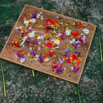 Abelardo Morell Flowers for Lisa #18 Monet's Gardens Giverny France flowers on a two dimensional illusion of a table all made of piece of wood and stems