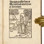 Thumbnail of additional image
