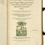 Thumbnail of additional image
