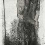 Catalina Chervin, Untitled, 2004